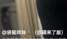 三只羊爆料视频在线观看,揭秘幕后真相，带你走进事件核心